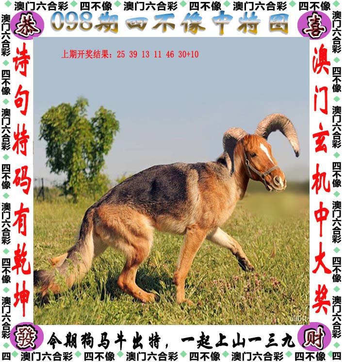 咨询 第1187页