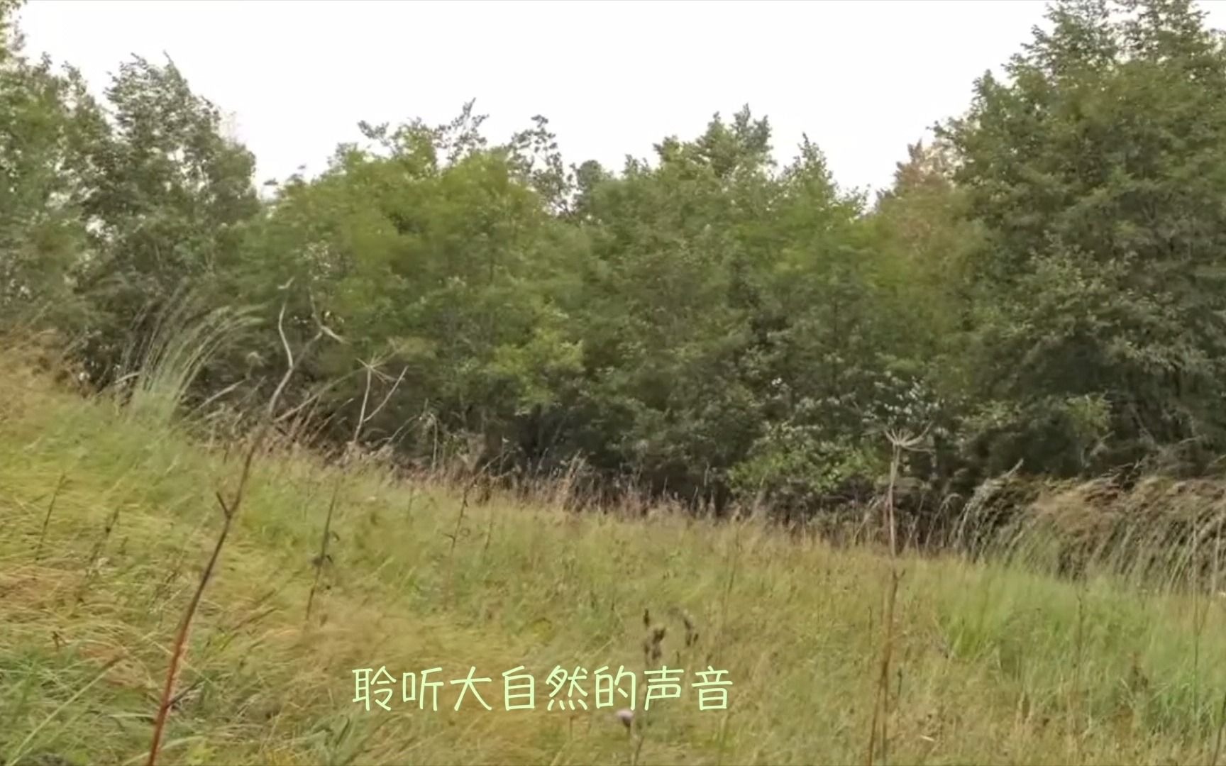 咨询 第1179页